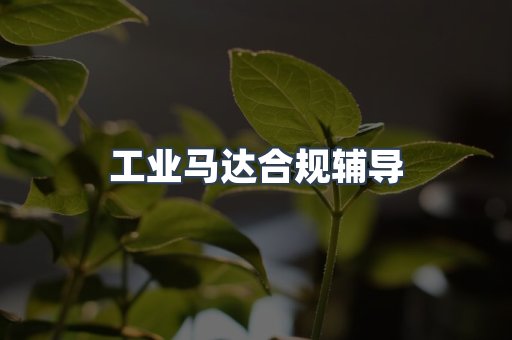 PPE防护用品CE认证